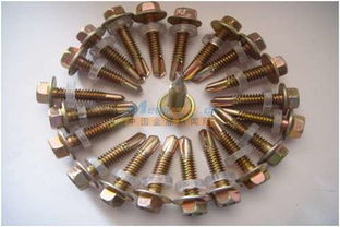 河南定制鉆尾螺栓多少錢 永年生產廠家